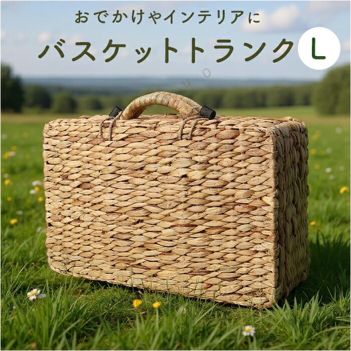 バスケット ピクニック 好評 ウォーターヒヤシンスバスケット Lサイズ カゴバスケ...