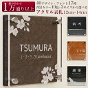 表札 アクリル × 背景シート 正方形 ネームプレート 立体 おしゃれ 戸建て 住所表記可 120×120mm 130×130mm 140×140mm マンション かわいい アニマル シンプル ライン 花柄 木目 カーボン 和紙 タイル ストーン 店舗看板 防水 耐水 耐候仕様 印刷