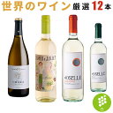 ワインセット 世界各国 厳選 白ワイン 750ml 12本 セット ヴェルデホ シャルドネ 辛口 甘口品種 ヴァッレセントラル イタリア アルコール 酒