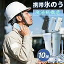 10個【法人/インボイス対応!】ギフト 氷のう 保冷氷嚢 アイス パック 携帯 ひょうのう 魔法瓶構造 クールパック 冷却 ボトル 水筒 アイスパック 水漏れなし 長持ち 保冷剤 48時間続く 持ち運び 軽量 業務用 建設 工事現場 暑さ対策 ネッククーラー 首用 アイシング バッグ