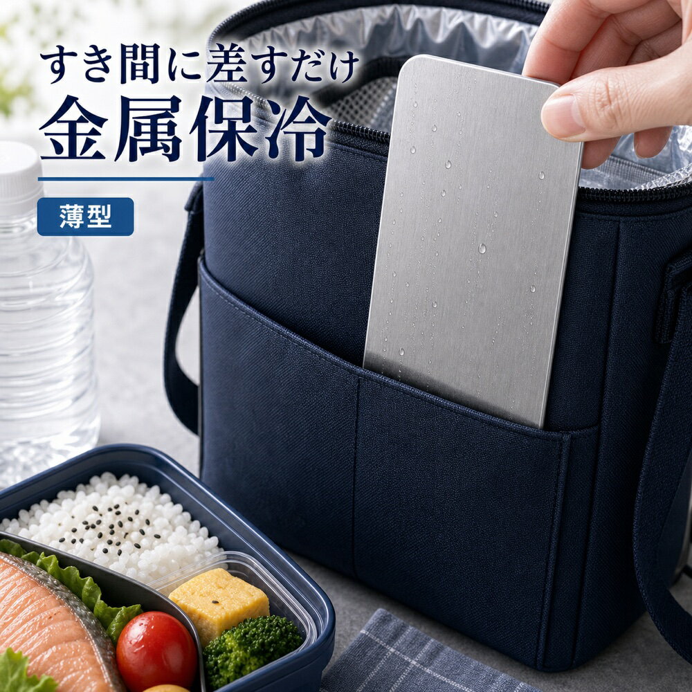 保冷プレート 1枚 薄型 スリム 保冷バッグ すき間 SUS304 ステンレス 保冷剤 水洗い 繰り返し使える 冷凍庫 クーラーボックス
