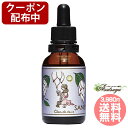【クーポン配布】サネン Truth シャンドゥルール 奄美大