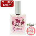 【クーポン配布】ハイビスカス Allure スプレー シャン
