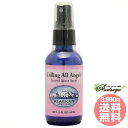 コーリングオールエンジェルズスプレー フラワーエッセンス アラスカン・エッセンス スペースクリアリング プロテクション 保護 60ml