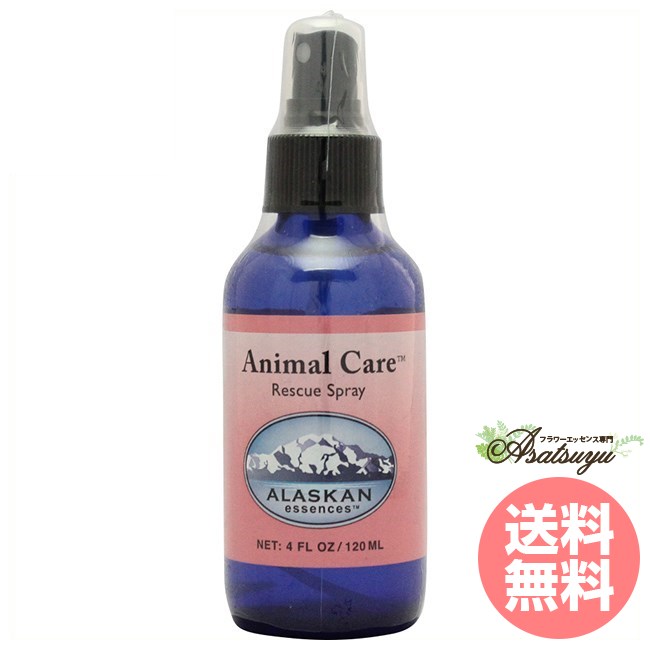 メーカー名 AlaskanEssencesInc. シリーズ名 アラスカン・エッセンス 商品名 アニマルケアスプレー(120ml) 原材料/品質 水・アルコール・その他 内容量 120ml 賞味期限 パッケージに記載 製造者 AlaskanEssencesInc. 生産国 アメリカ 輸入者 ネイチャーワールド(株) 資料提供 ネイチャーワールド(株) 使用上の注意 ラベルのデザインが変更になる場合がございます。予めご了承ください。 本品は化粧品や医薬品ではありません。 効果は個人によって異なり、特定の効果を保証するというものではありません。 広告文責 ネイチャーワールド(株)(0364584550) キーワード Animal Care Spray Q：フラワーエッセンスって何？ フラワーエッセンスは、花が持つ癒しを「エッセンス」というかたちで取り込む自然療法です。花や草木を育てたり触れたりすることによって「癒されたなぁ」と感じたことがある方もいるるのではないでしょうか。その「癒しエネルギー」を水に転写したものをフラワーエッセンスといいます。特に「癒し」が強かった「花」を中心に、動物や鉱石、自然環境などの様々な自然界の「癒しエネルギー」からフラワーエッセンスが作られています。フラワーエッセンスは欧米では日常レベルで根付いており、レスキュー隊などの常備品として使われていたり、薬局で売られていたりしています。 Q：フラワーエッセンスはいつから使われてるの？ 1936年にイギリスの高名な医師エドワード=バッチ博士により新しい療法として「フラワーエッセンス」は生み出されました。細菌学者であり病理学者でもあったバッチ博士は、患者の訴えに耳を傾けるうちに、従来の診断法・治療法に限界を感じ、「すべての病気を癒す方法」を模索するようになります。野生の植物に心や感情を癒す力に注目し、長い年月をかけ始まりの38種類からなる現在バッチフラワーレメディーと呼ばれるフラワーエッセンスを完成させました。 Q：フラワーエッセンスとアロマの違いは何？ 「フラワーエッセンス」という名前から花のエキスを抽出し、香りや色がついていると思う方が多いかもしれませんが、花の香りや色、味などは入っておりません。 アロマオイルは植物の「香りなどの成分」を抽出し芳香を楽しむものに対し、フラワーエッセンスは「癒しのエネルギー」を水に転写したものになります。 Q：誰でも使えるの？ フラワーエッセンスは他の薬や治療法と併用してお使いできます。アロマテラピーなどで使用する精油などには、妊婦や小さいお子様に使えない種類などがありますが、フラワーエッセンスにはありません。性別や年齢関問わず、小さなお子様からお年寄りまで全ての方、またペットまでお使いいただけます。アラスカン・エッセンス スプレー アニマルケアスプレー[120ml] 怪我をした動物や凶暴な動物に鎮静作用を スプレー 「アラスカンエッセンス」は世界各地でワークショップを行っているスティーブ・ジョンソン氏により開発されました。意識の変化をサポートするフラワーエッセンスのほか、意識が入っている器・土台、つまり肉体レベルに近いところに作用するジェム（鉱物）のエッセンス、氷河やオーロラなど、とても高いエネルギーが発生している場所や環境そのものから作られ、浄化や変容を促してくれるエンバイロメンタル（環境）のエッセンスなどが作られており、私たちの人生の旅を強力サポートしてくれます。 怪我をした動物や凶暴な動物に鎮静作用を オーガニックのレモングラスとローマンカモミールのエッセンシャルオイルが少量ず つ含まれています。 これらの成分が、フォーミュラの鎮静作用を促進し、スプレーにリフレッシュ効果を 加えてくれます。 このスプレーは動物に直接スプレーしても良いし、動物の寝床やカゴ等にスプレーすることができます。 ケガをした動物や凶暴な振る舞いをしている動物には特に有効です。 成分表 成分名 こんな時に…。 ホワイトヴァイオレット オーラを守るバウンダリー（境界）を強化する アルパインアゼリア 自分を受け入れる。ハートを通して働く ブラックトルマリン 古いエネルギーを解放し新しいエネルギーを入れる手助け チャイミングベルズ 母なる地球の愛のエネルギーに触れる コットングラス ショックやトラウマからの回復を助ける ホーステイル 他人のハイヤーセルフと交信することを手助け ジェダイトジェイド 平和、バランスと永遠の純真さの波動 レディーススリッパー 制御したりする能力の手助けを