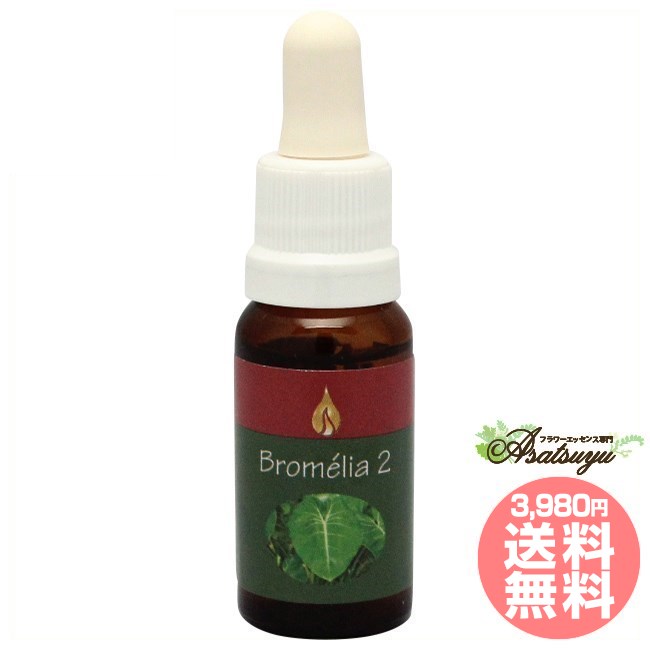 ブロメリア2 アラレタマ レインフォレストエッセンス フラワーエッセンス