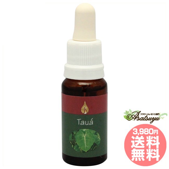 タウア アラレタマ レインフォレストエッセンス フラワーエッセンス
