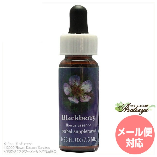 ブラックベリー FESフラワーエッセンス クイントエッセンス フラワーエッセンス