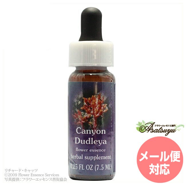 キャニオンダドレア FESフラワーエッセンス クイントエッセンス フラワーエッセンス