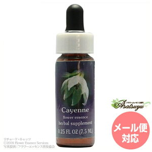 カイエンヌ FESフラワーエッセンス クイントエッセンス フラワーエッセンス