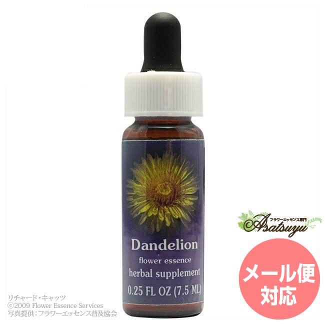 ダンディライオン FESフラワーエッセンス クイントエッセンス フラワーエッセンス