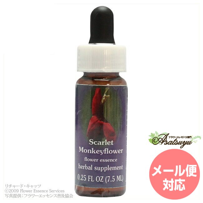 スカーレットモンキーフラワー FESフラワーエッセンス クイントエッセンス フラワーエッセンス