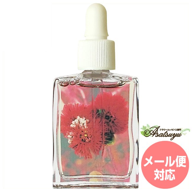 メーカー名 Flora　Corona シリーズ名 フローラコロナ 商品名 オヒアレファ 原材料/品質 水・アルコール類・塩・植物性グリセリン 内容量 15ml 賞味期限 パッケージに記載 製造者 Flora　Corona 生産国 アメリカ 輸入者 (株)ナチュラ 使用上の注意 ラベルのデザインが変更になる場合がございます。予めご了承ください。 本品は化粧品や医薬品ではありません。 効果は個人によって異なり、特定の効果を保証するというものではありません。 広告文責 ネイチャーワールド(株)(0433116068) キーワード Oha lehua Q：フラワーエッセンスって何？ フラワーエッセンスは、花が持つ癒しを「エッセンス」というかたちで取り込む自然療法です。花や草木を育てたり触れたりすることによって「癒されたなぁ」と感じたことがある方もいるるのではないでしょうか。その「癒しエネルギー」を水に転写したものをフラワーエッセンスといいます。特に「癒し」が強かった「花」を中心に、動物や鉱石、自然環境などの様々な自然界の「癒しエネルギー」からフラワーエッセンスが作られています。フラワーエッセンスは欧米では日常レベルで根付いており、レスキュー隊などの常備品として使われていたり、薬局で売られていたりしています。 Q：フラワーエッセンスはいつから使われてるの？ 1936年にイギリスの高名な医師エドワード=バッチ博士により新しい療法として「フラワーエッセンス」は生み出されました。細菌学者であり病理学者でもあったバッチ博士は、患者の訴えに耳を傾けるうちに、従来の診断法・治療法に限界を感じ、「すべての病気を癒す方法」を模索するようになります。野生の植物に心や感情を癒す力に注目し、長い年月をかけ始まりの38種類からなる現在バッチフラワーレメディーと呼ばれるフラワーエッセンスを完成させました。 Q：フラワーエッセンスとアロマの違いは何？ 「フラワーエッセンス」という名前から花のエキスを抽出し、香りや色がついていると思う方が多いかもしれませんが、花の香りや色、味などは入っておりません。 アロマオイルは植物の「香りなどの成分」を抽出し芳香を楽しむものに対し、フラワーエッセンスは「癒しのエネルギー」を水に転写したものになります。 Q：誰でも使えるの？ フラワーエッセンスは他の薬や治療法と併用してお使いできます。アロマテラピーなどで使用する精油などには、妊婦や小さいお子様に使えない種類などがありますが、フラワーエッセンスにはありません。性別や年齢関問わず、小さなお子様からお年寄りまで全ての方、またペットまでお使いいただけます。フローラコロナ フラワーエッセンス オヒアレファ 新しい流れを呼び込んでくれる フラワーエッセンス フローラコロナは、FES認定プラクティショナーであるデボラ・クレイドン女史の手によりひとつひとつ丁寧に創られています。場所は、ハワイやカリフォルニアの海岸、アメリカの森や山岳地帯の大自然から。フラワーエッセンス15種類・ジェムエッセンス19種類・シーエッセンス（イルカ・クジラ）、コンビネーションなど、数多くのエッセンスが創られています。すべてのエッセンスは、水晶の波動を含む湧水、植物性グリセリン、ブランデーを使って作られており、元生化学者グリン・クレイドンによって考案されました。 新しい流れを呼び込んでくれる 『パワー』 新しいバイタリティーを生み、新しい溶岩の流れのように新しい流れを創造します。肉体的なバイタリティー、創造性、情熱的な復活にサポートします。復活の花オヒアフレアは情熱を帯びおこし、夢の実現に向かわせます。 ※特価の商品は数に限りがございます。売り切れ次第特価は終了になりますのでご了承ください。また、他店舗にても同時セールを開催しております。在庫の反映にタイムラグがございます為、売り切れになった場合は受注時間が早い方から手配いたしますので予めご了承いただきますよう宜しくお願い致します。※こちらの商品は使用期限が近いものでございます。期限は商品詳細でご確認ください。