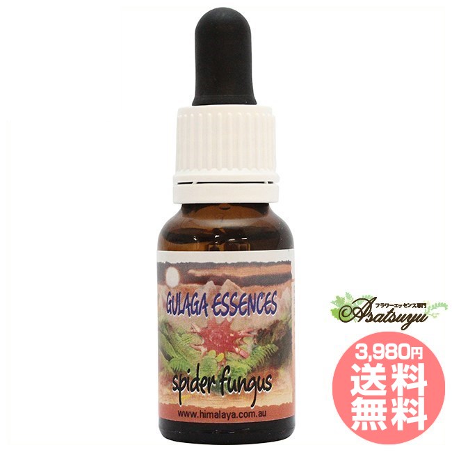 スパイダーファンガス ヒマラヤンエンハンサーズ フラワーエッセンス