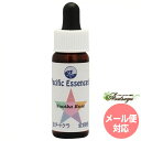 メーカー Pacific Essences シリーズ名 パシフィックエッセンス 単品名称 ヌーツカローズ 原材料 水・海塩・アルコール類・その他 内容量 7.5ml 賞味期限 パッケージに記載 製造者 Pacific Essences 生産国 カナダ 輸入者 ネイチャーワールド(株) 資料提供 ネイチャーワールド(株) 使用上の注意 ラベルのデザインが変更になる場合がございます。予めご了承ください。 本品は化粧品や医薬品ではありません。 効果は個人によって異なり、特定の効果を保証するというものではありません。 広告文責 (株)B-CRUISE(0362724460) キーワード Nootka Rose Q：フラワーエッセンスって何？ フラワーエッセンスは、花が持つ癒しを「エッセンス」というかたちで取り込む自然療法です。花や草木を育てたり触れたりすることによって「癒されたなぁ」と感じたことがある方もいるるのではないでしょうか。その「癒しエネルギー」を水に転写したものをフラワーエッセンスといいます。特に「癒し」が強かった「花」を中心に、動物や鉱石、自然環境などの様々な自然界の「癒しエネルギー」からフラワーエッセンスが作られています。フラワーエッセンスは欧米では日常レベルで根付いており、レスキュー隊などの常備品として使われていたり、薬局で売られていたりしています。 Q：フラワーエッセンスはいつから使われてるの？ 1936年にイギリスの高名な医師エドワード=バッチ博士により新しい療法として「フラワーエッセンス」は生み出されました。細菌学者であり病理学者でもあったバッチ博士は、患者の訴えに耳を傾けるうちに、従来の診断法・治療法に限界を感じ、「すべての病気を癒す方法」を模索するようになります。野生の植物に心や感情を癒す力に注目し、長い年月をかけ始まりの38種類からなる現在バッチフラワーレメディーと呼ばれるフラワーエッセンスを完成させました。 Q：フラワーエッセンスとアロマの違いは何？ 「フラワーエッセンス」という名前から花のエキスを抽出し、香りや色がついていると思う方が多いかもしれませんが、花の香りや色、味などは入っておりません。 アロマオイルは植物の「香りなどの成分」を抽出し芳香を楽しむものに対し、フラワーエッセンスは「癒しのエネルギー」を水に転写したものになります。 Q：誰でも使えるの？ フラワーエッセンスは他の薬や治療法と併用してお使いできます。アロマテラピーなどで使用する精油などには、妊婦や小さいお子様に使えない種類などがありますが、フラワーエッセンスにはありません。性別や年齢関問わず、小さなお子様からお年寄りまで全ての方、またペットまでお使いいただけます。パシフィックエッセンス フラワーエッセンス(キット2) ヌーツカローズ ハートに愛と喜びが流れるように フラワーエッセンス(キット2) パシフィックエッセンスは、東洋医学の陰陽五行説（木・火・土・金・水）と12の経路（肺経、心包経、心経、胃経、三焦経、大腸経、膀胱経、肝経、胆経、脾経、腎経）と7つのチャクラに基づいて作られています。「どのような状態が、自分にとって幸せなのか」ということに意識を明確に合わせることを重視して、自分が望む状況に対して「自己のゴールを設定」し、そのゴールをサポートしていない経絡に必要なエッセンスを選びます。そのエッセンスを使用することで経絡を強化する助けをします。そのため、心だけでなく肉体レベルにも非常に効果が高いと言われています。 ハートに愛と喜びが流れるように 『ハートに愛と喜びが流れるように』 虐待、自暴自棄、サイキックアタックなどの魂の危険にさらされた時にオススメします。アルコールなどの自己虐待にもご利用ください。人生の中で、心に鋭い痛みを伴うことや、肉体、感情、精神的なトラウマなどに対応して人生を前向きに