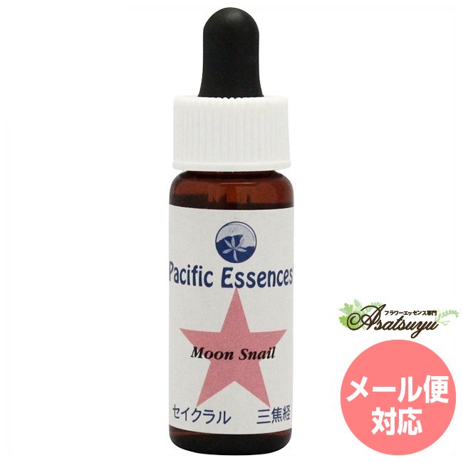 メーカー名 Pacific Essences シリーズ名 パシフィックエッセンス 商品名 ムーンスネイル 原材料/品質 水・海塩・アルコール類・その他 内容量 7.5ml 賞味期限 パッケージに記載 製造者 Pacific Essences...
