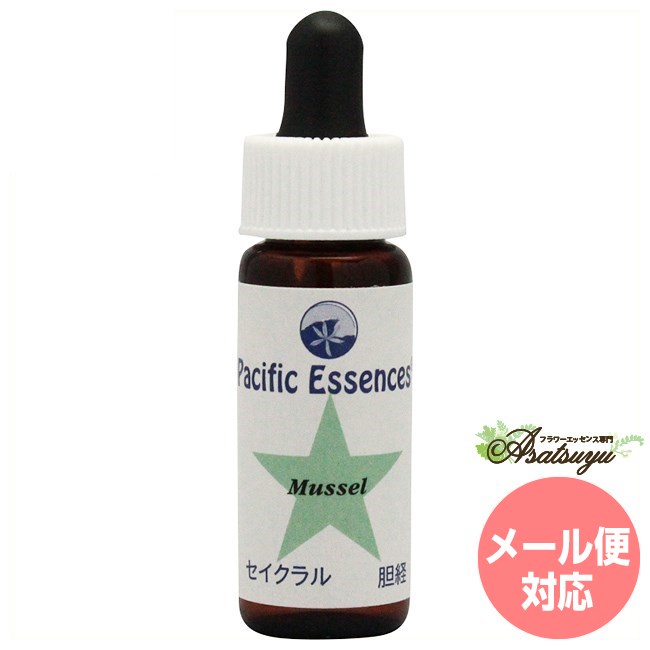 マスル パシフィックエッセンス シーエッセンス 4 フラワーエッセンス