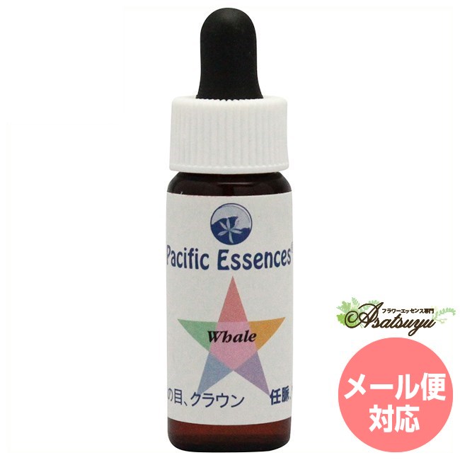 ホエール パシフィックエッセンス シーエッセンス 5 フラワーエッセンス