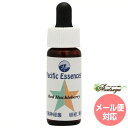 メーカー Pacific Essences シリーズ名 パシフィックエッセンス 単品名称 レッドハックルベリー 原材料 水・海塩・アルコール類・その他 内容量 7.5ml 賞味期限 パッケージに記載 製造者 Pacific Essences 生産国 カナダ 輸入者 ネイチャーワールド(株) 資料提供 ネイチャーワールド(株) 使用上の注意 ラベルのデザインが変更になる場合がございます。予めご了承ください。 本品は化粧品や医薬品ではありません。 効果は個人によって異なり、特定の効果を保証するというものではありません。 広告文責 (株)B-CRUISE(0362724460) キーワード Red Huckleberry Q：フラワーエッセンスって何？ フラワーエッセンスは、花が持つ癒しを「エッセンス」というかたちで取り込む自然療法です。花や草木を育てたり触れたりすることによって「癒されたなぁ」と感じたことがある方もいるるのではないでしょうか。その「癒しエネルギー」を水に転写したものをフラワーエッセンスといいます。特に「癒し」が強かった「花」を中心に、動物や鉱石、自然環境などの様々な自然界の「癒しエネルギー」からフラワーエッセンスが作られています。フラワーエッセンスは欧米では日常レベルで根付いており、レスキュー隊などの常備品として使われていたり、薬局で売られていたりしています。 Q：フラワーエッセンスはいつから使われてるの？ 1936年にイギリスの高名な医師エドワード=バッチ博士により新しい療法として「フラワーエッセンス」は生み出されました。細菌学者であり病理学者でもあったバッチ博士は、患者の訴えに耳を傾けるうちに、従来の診断法・治療法に限界を感じ、「すべての病気を癒す方法」を模索するようになります。野生の植物に心や感情を癒す力に注目し、長い年月をかけ始まりの38種類からなる現在バッチフラワーレメディーと呼ばれるフラワーエッセンスを完成させました。 Q：フラワーエッセンスとアロマの違いは何？ 「フラワーエッセンス」という名前から花のエキスを抽出し、香りや色がついていると思う方が多いかもしれませんが、花の香りや色、味などは入っておりません。 アロマオイルは植物の「香りなどの成分」を抽出し芳香を楽しむものに対し、フラワーエッセンスは「癒しのエネルギー」を水に転写したものになります。 Q：誰でも使えるの？ フラワーエッセンスは他の薬や治療法と併用してお使いできます。アロマテラピーなどで使用する精油などには、妊婦や小さいお子様に使えない種類などがありますが、フラワーエッセンスにはありません。性別や年齢関問わず、小さなお子様からお年寄りまで全ての方、またペットまでお使いいただけます。パシフィックエッセンス フラワーエッセンス(キット6) レッドハックルベリー 休息と行動のバランスをとる フラワーエッセンス(キット6) パシフィックエッセンスは、東洋医学の陰陽五行説（木・火・土・金・水）と12の経路（肺経、心包経、心経、胃経、三焦経、大腸経、膀胱経、肝経、胆経、脾経、腎経）と7つのチャクラに基づいて作られています。「どのような状態が、自分にとって幸せなのか」ということに意識を明確に合わせることを重視して、自分が望む状況に対して「自己のゴールを設定」し、そのゴールをサポートしていない経絡に必要なエッセンスを選びます。そのエッセンスを使用することで経絡を強化する助けをします。そのため、心だけでなく肉体レベルにも非常に効果が高いと言われています。 休息と行動のバランスをとる 『休息と行動のバランスを取る。内観の為に。』 忙しい日々や普段の出来事から、ちょっと引いて見てみると無限の世界である自分の内なる世界に入り込む手助けをします。自分の内面に向かって滋養を吸収することが大切だと認識させてくれるでしょう。そしてその結果再生し新しい見方や新しい聞き方など周囲のすべてに対して新しい認識を得ることができるように手助けします。