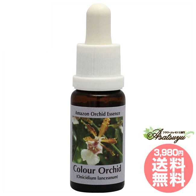 カラーオーキッド コルテPHIエッセンス アマゾンオーキッドエッセンス フラワーエッセンス
