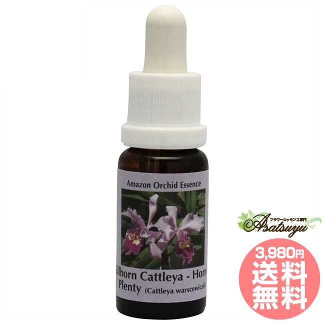 フルホーンカトレア コルテPHIエッセンス アマゾンオーキッドエッセンス フラワーエッセンス