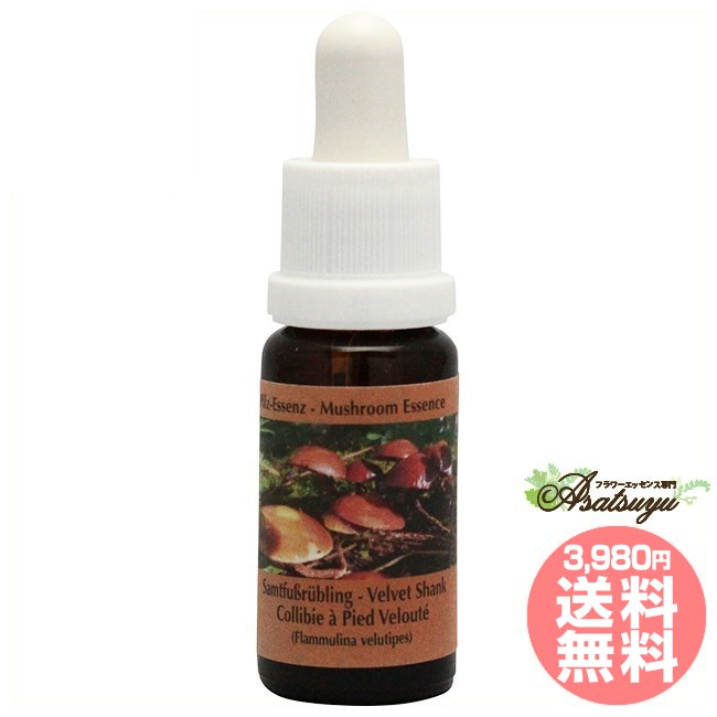 ベルベットシャンク コルテPHIエッセンス マッシュルーム きのこ エッセンス フラワーエッセンス 子供