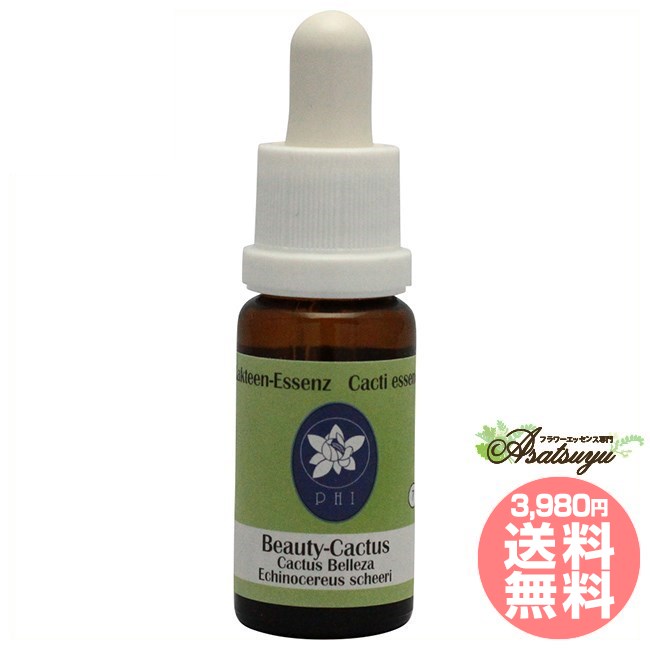 ビューティーカクタス コルテPHIエッセンス カクタス サボテン エッセンス フラワーエッセンス
