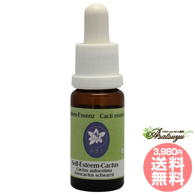 セルフエスティームカクタス コルテPHIエッセンス カクタス サボテン エッセンス フラワーエッセンス