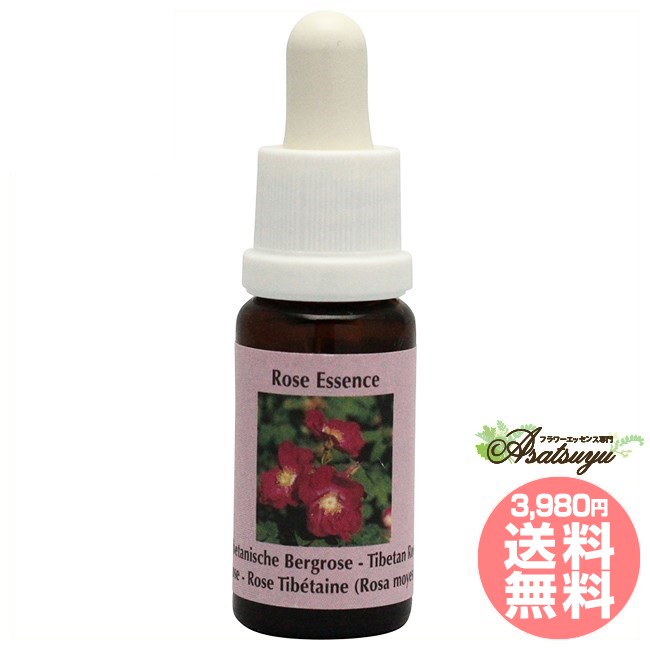 ティベタンロックローズ コルテPHIエッセンス ローズエッセンス フラワーエッセンス