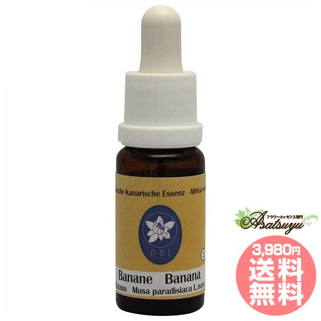バナナ コルテPHIエッセンス アフリカン&カナリーアイランドエッセンス フラワーエッセンス