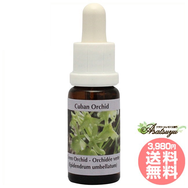 グリーンオーキッド コルテPHIエッセンス カリビアンエッセンス キューバオーキッドエッセンス フラワーエッセンス