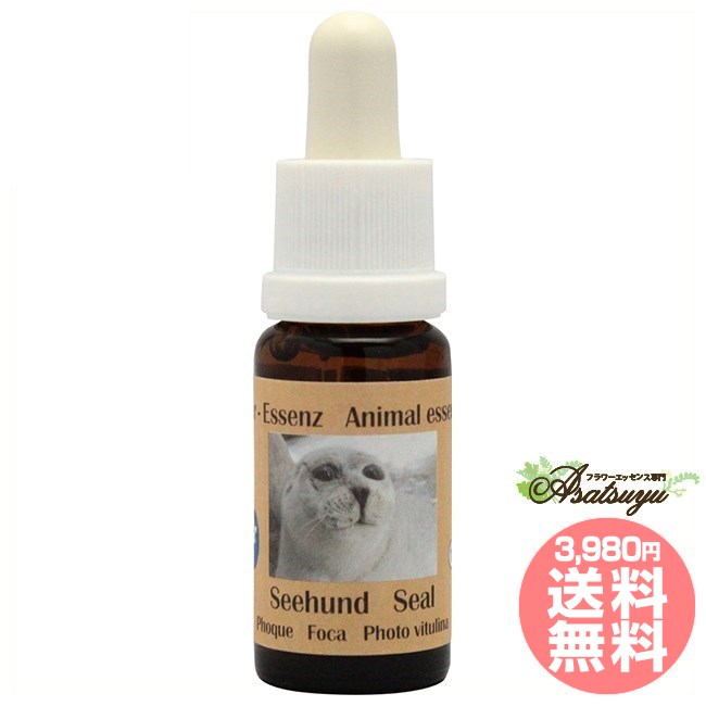 アザラシ コルテPHIエッセンス ヨーロピアンアニマルエッセンス フラワーエッセンス