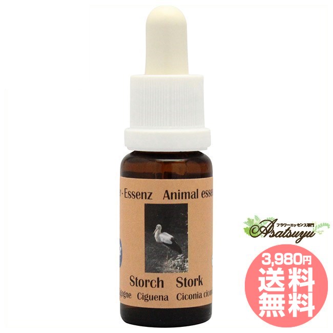 コウノトリ コルテPHIエッセンス ヨーロピアンアニマルエッセンス フラワーエッセンス