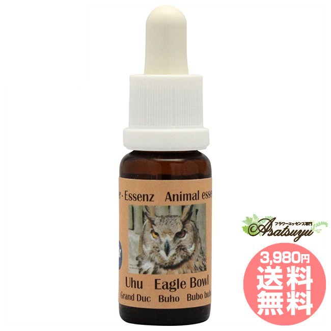 鷲フクロウ コルテPHIエッセンス ヨーロピアンアニマルエッセンス フラワーエッセンス