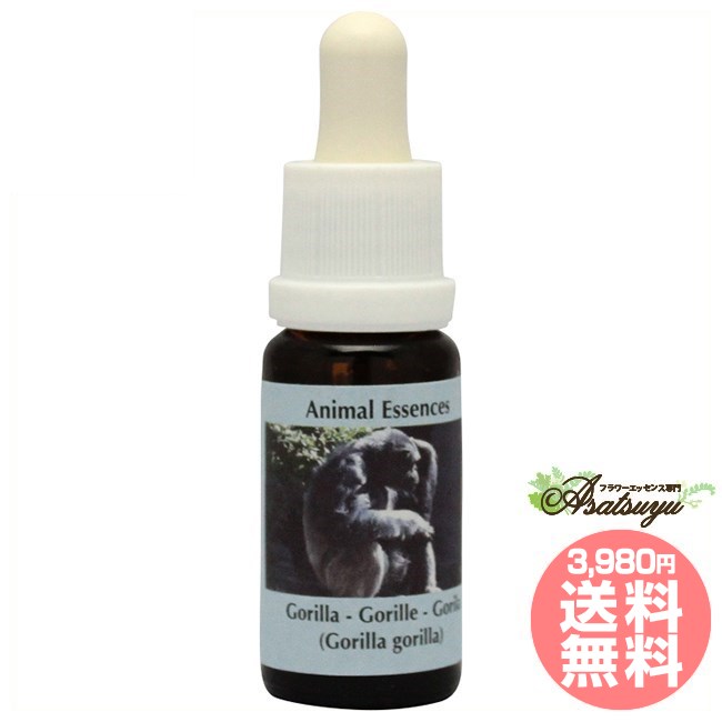 ゴリラ コルテPHIエッセンス アニマルエッセンス2 フラワーエッセンス