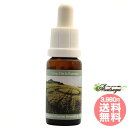 #54 Rapeseed Formation, Desenberg, D 2002 コルテPHIエッセンス クロップサークルエッセンス フラワーエッセンス(4)