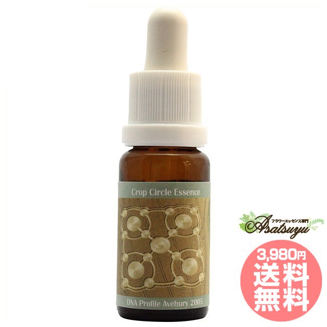 #79 DNA-Profile, Avebury, UK 2005 コルテPHIエッセンス クロップサークルエッセンス フラワーエッセ..