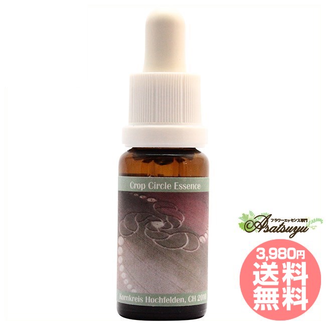 #123 Hochfelden, CH 2010 コルテPHIエッセンス クロップサークルエッセンス フラワーエッセンス