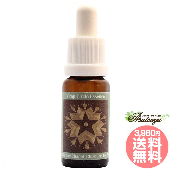#125 St. Martins Chapel, Chisbury 2010 コルテPHIエッセンス クロップサークルエッセンス フラワーエッセンス #125 St. Martins Chapel, Chisbury 2010 コルテPHIエッセンス クロップサークルエッセンス フラワーエッセンス