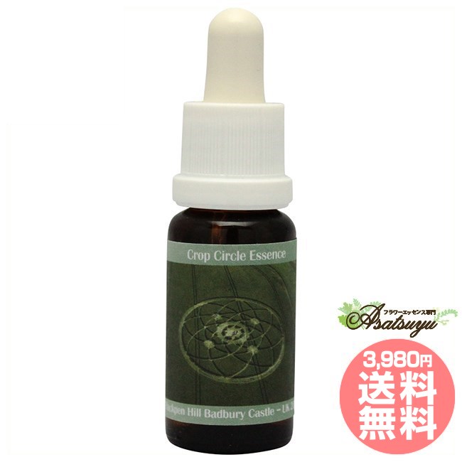 #156 Hackpen Hill Badbury Catsle UK 2013 コルテPHIエッセンス クロップサークルエッセンス フラワー..
