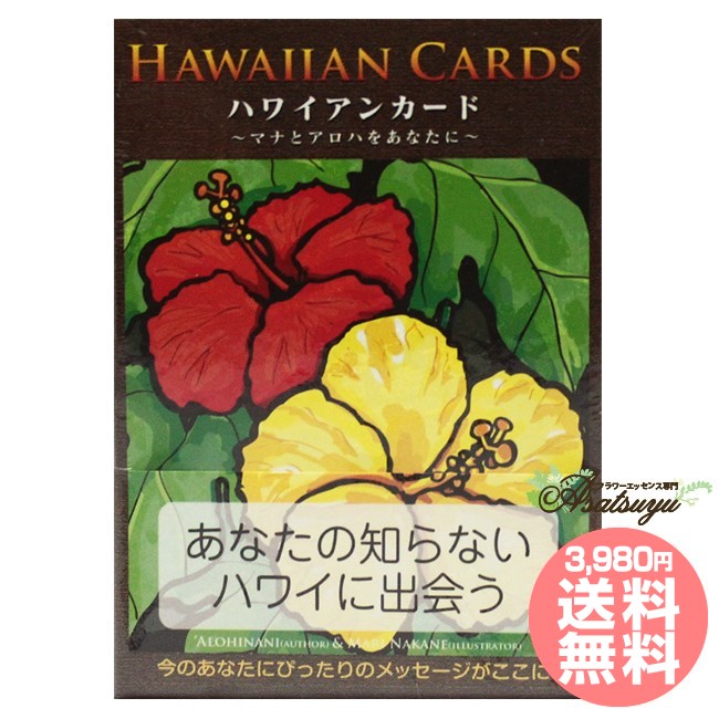 【ポイント10倍(要エントリー)】 ハワイアンカード 日本語解説書付属 【マラソン期間限定】のサムネイル