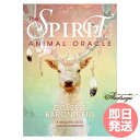 スピリットアニマルオラクル 日本語解説書付属