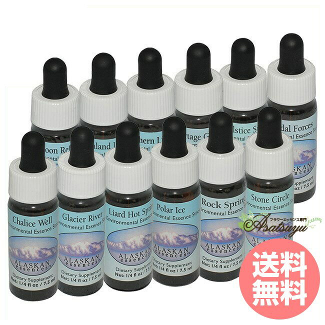 アラスカンエンバイロメンタルエッセンス 全12本 アラスカン・エッセンス エンバイロメンタル 環境 フ..