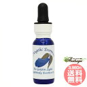 #79 ザ・ゴールデン・ライト ライトボデ・ィエッセンス#2 The Golden Light Lightbody Essence#2 アンジェリックエッセンス...