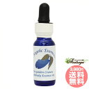 #78 ザ・ゴールデン・クラウン ライトボディ・エッセンス#3 The Golden Crown Lightbody Essence#3 アンジェリックエッセン...