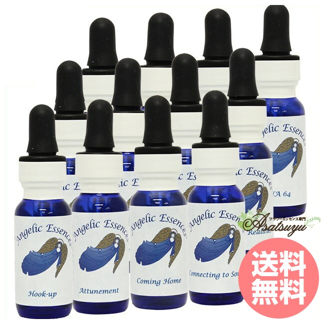スピリチュアルな成長と目覚めの 全12本 Angelic Spiritual Growth & Awakening Kit アンジェリックエ..