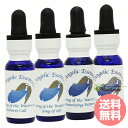 水の癒し 全4本 Clearing of the Waters Kit アンジェリックエッセンス 水の癒し フラワーエッセンス(4)