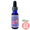 #97 ザ・ハート・フラワーズ ハートの開花 The Heart Flowers アンジェリックエッセンス ラブ フラワーエッセンス