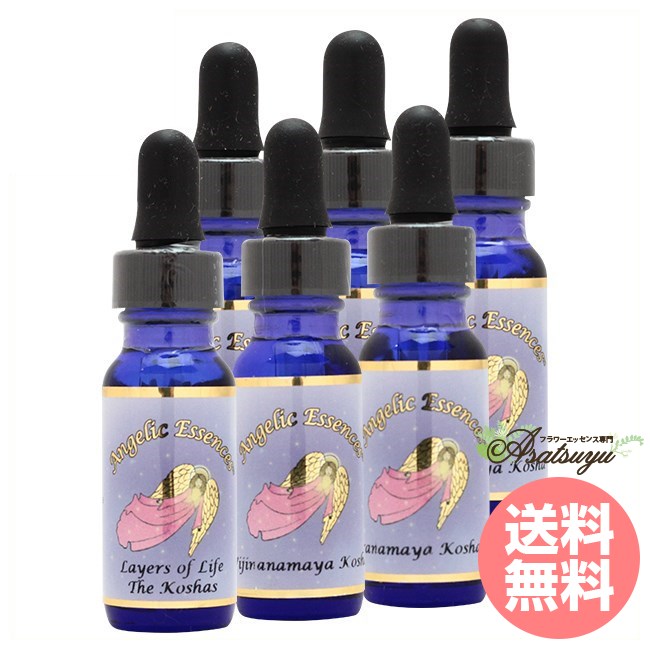 メーカー名 アンジェリックエッセンス シリーズ名 コーシャキット 商品名 コーシャキット全6本セット(Kosha Kit) 原材料/品質 清涼飲料水 内容量 各15ml×6本 賞味期限 商品に記載 メーカー名 AnjelicEssences 製造者 AnjelicEssences 生産国 アメリカ 輸入者 ネイチャーワールド(株) 資料提供 ネイチャーワールド(株) 使用上の注意 ラベルのデザインが変更になる場合がございます。予めご了承ください。 本品は化粧品や医薬品ではありません。 効果は個人によって異なり、特定の効果を保証するというものではありません。 商品名について 制作時期により、ラベルタイトルが異なる場合がございます。 広告文責 ネイチャーワールド(株)(0364584550) キーワード Kosha Kit 全6本 Q：フラワーエッセンスって何？ フラワーエッセンスは、花が持つ癒しを「エッセンス」というかたちで取り込む自然療法です。花や草木を育てたり触れたりすることによって「癒されたなぁ」と感じたことがある方もいるるのではないでしょうか。その「癒しエネルギー」を水に転写したものをフラワーエッセンスといいます。特に「癒し」が強かった「花」を中心に、動物や鉱石、自然環境などの様々な自然界の「癒しエネルギー」からフラワーエッセンスが作られています。フラワーエッセンスは欧米では日常レベルで根付いており、レスキュー隊などの常備品として使われていたり、薬局で売られていたりしています。 Q：フラワーエッセンスはいつから使われてるの？ 1936年にイギリスの高名な医師エドワード=バッチ博士により新しい療法として「フラワーエッセンス」は生み出されました。細菌学者であり病理学者でもあったバッチ博士は、患者の訴えに耳を傾けるうちに、従来の診断法・治療法に限界を感じ、「すべての病気を癒す方法」を模索するようになります。野生の植物に心や感情を癒す力に注目し、長い年月をかけ始まりの38種類からなる現在バッチフラワーレメディーと呼ばれるフラワーエッセンスを完成させました。 Q：フラワーエッセンスとアロマの違いは何？ 「フラワーエッセンス」という名前から花のエキスを抽出し、香りや色がついていると思う方が多いかもしれませんが、花の香りや色、味などは入っておりません。 アロマオイルは植物の「香りなどの成分」を抽出し芳香を楽しむものに対し、フラワーエッセンスは「癒しのエネルギー」を水に転写したものになります。 Q：誰でも使えるの？ フラワーエッセンスは他の薬や治療法と併用してお使いできます。アロマテラピーなどで使用する精油などには、妊婦や小さいお子様に使えない種類などがありますが、フラワーエッセンスにはありません。性別や年齢関問わず、小さなお子様からお年寄りまで全ての方、またペットまでお使いいただけます。アンジェリックエッセンス コーシャキット コーシャキット全6本セット[Kosha Kit] 内なる旅をナビゲート コーシャキット コーシャは内なる旅をナビゲートするものであり、肉体としてのボディからスタートして「セルフ(自己）」の核や魂へと移行します。これらのエネルギーは鞘や覆いに納められた剣のように表現され、マインドとボディとスピリチュアルという意識の側面を取り囲むものが物質として顕著した形として描写されます。このキットはコーシャ(ヨガ用語で「鞘・覆い」という意）が最適に機能することをサポートします。 内なる旅をナビゲート コーシャは内なる旅をナビゲートするものであり、肉体としてのボディからスタートして「セルフ(自己）」の核や魂へと移行します。これらのエネルギーは鞘や覆いに納められた剣のように表現され、マインドとボディとスピリチュアルという意識の側面を取り囲むものが物質として顕著した形として描写されます。このキットはコーシャ(ヨガ用語で「鞘・覆い」という意）が最適に機能することをサポートします。