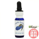 #125 ライト・オブ・ザ・ムーン ムーン・タイム Light of the Moon アンジェリックエッセンス アンジェリックエッセンス単品 フラワーエッセンス